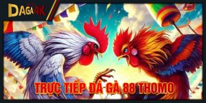 Trực tiếp đá gà 88 com