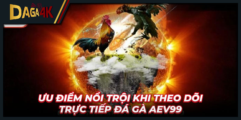 Ưu điểm nổi trội khi theo dõi trực tiếp đá gà AEV9