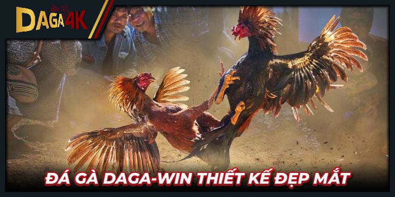 Đá gà Daga-win thiết kế đẹp mắt