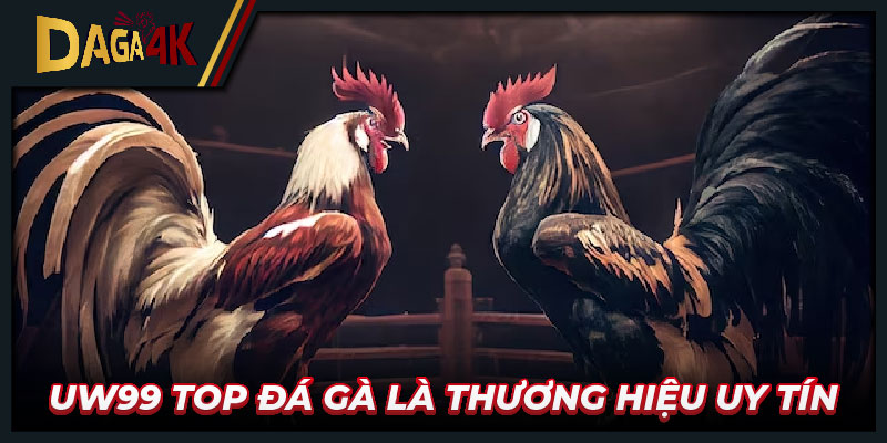 UW99 top đá gà là thương hiệu uy tín