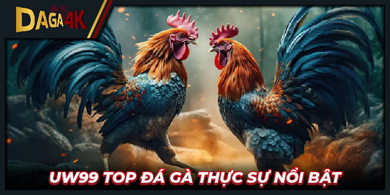 UW99 top đá gà thực sự nổi bật